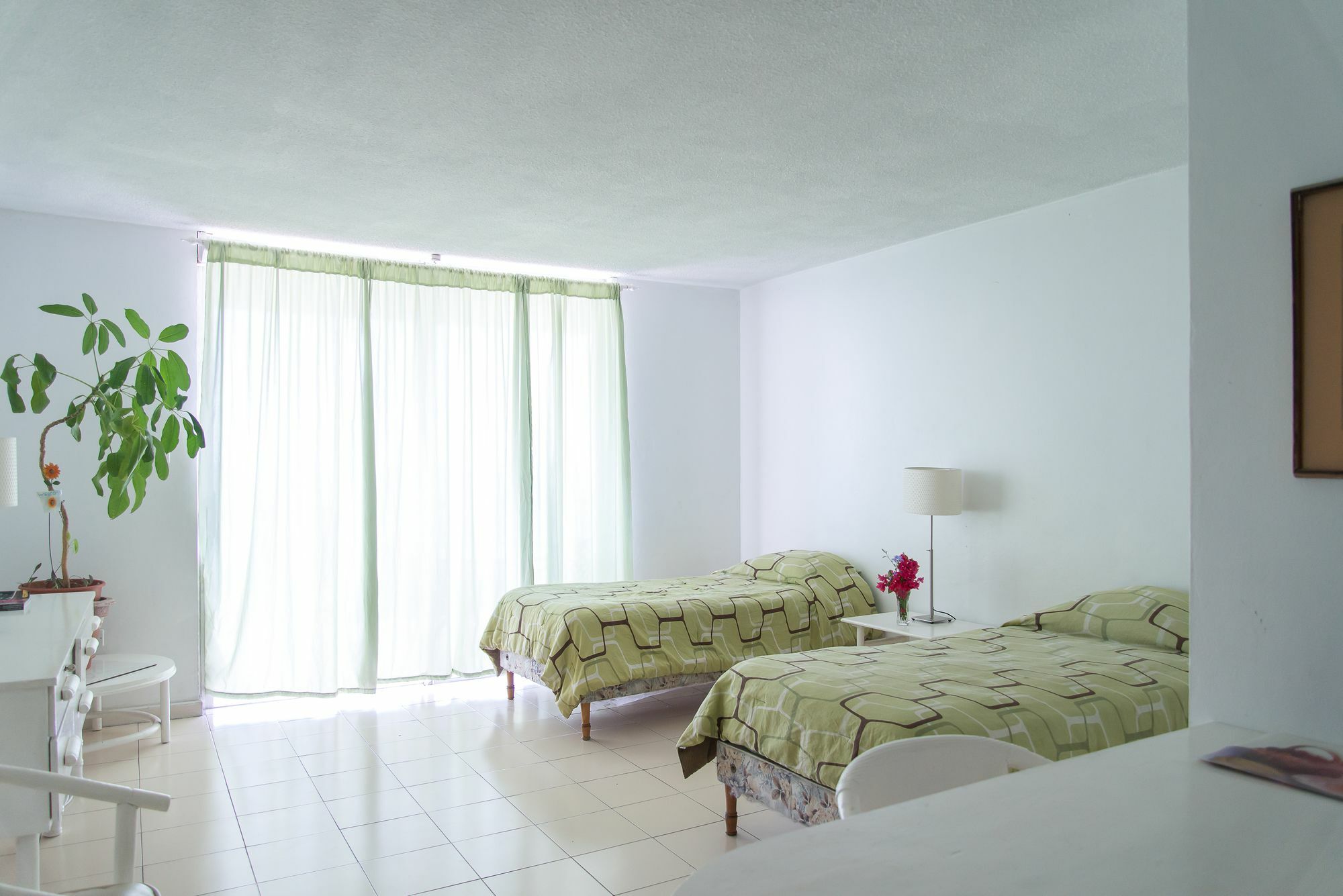 Montego Bay Club Apartments Exteriér fotografie
